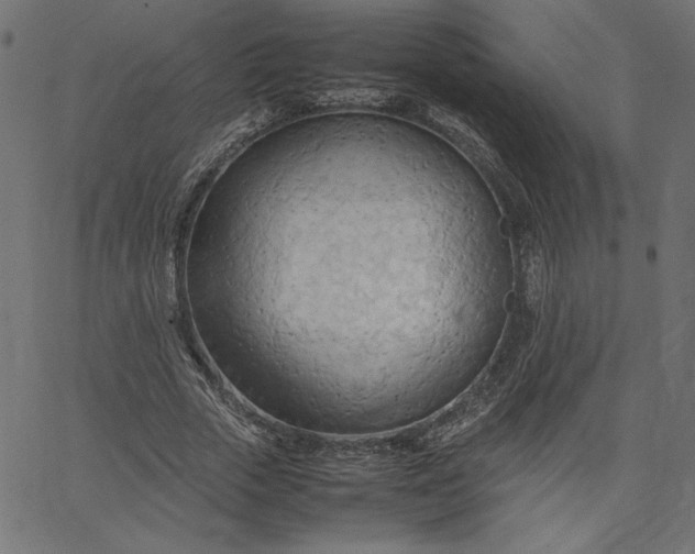 X0000067830729200604271554