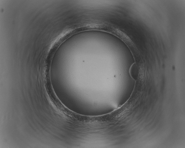 X0000067830730200604271554