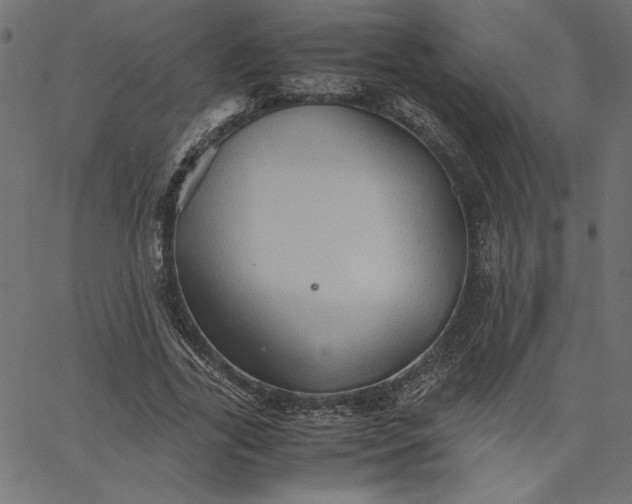 X0000067830731200604271554