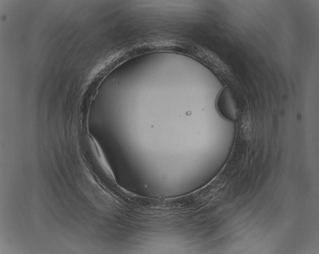 X0000067830732200604271554