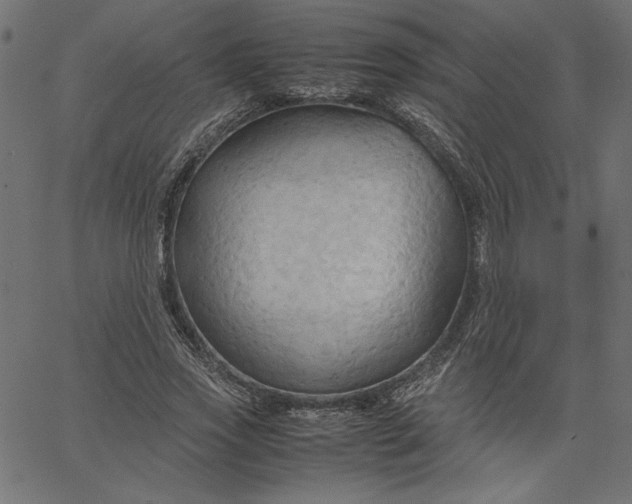 X0000067830733200604271554