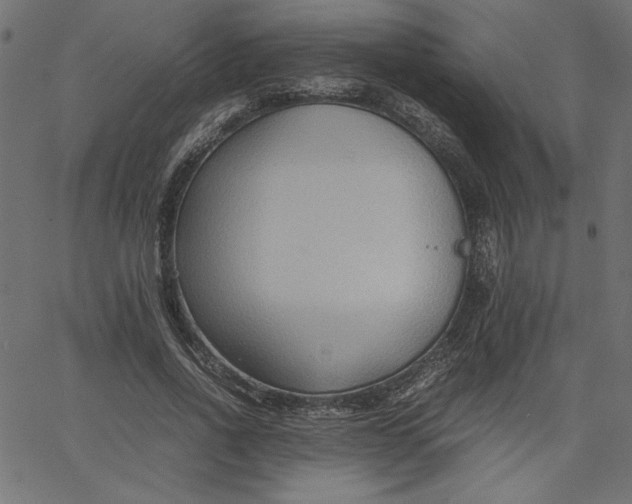 X0000067830734200604271554