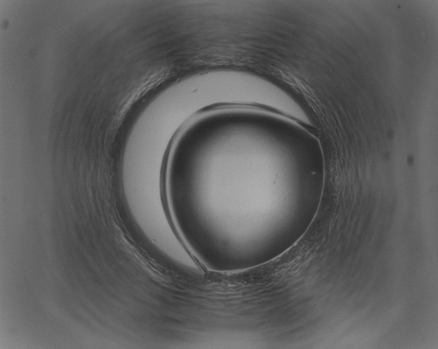 X0000067830735200604271554