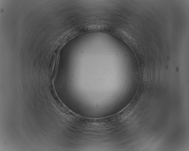 X0000067830737200604271554