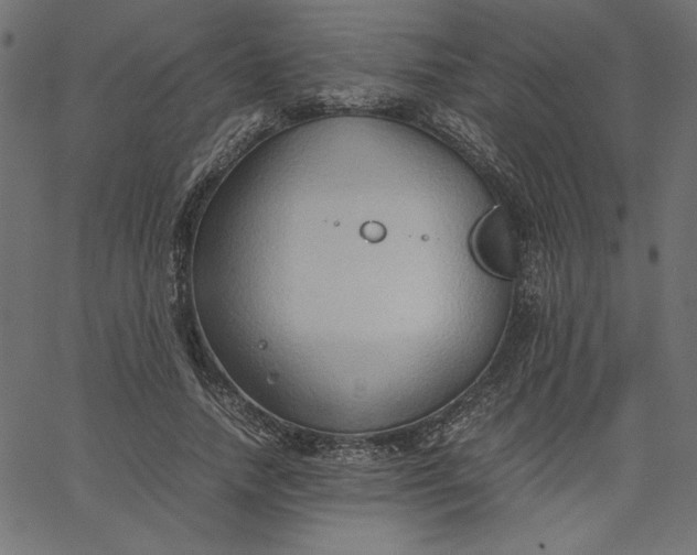 X0000067830738200604271554