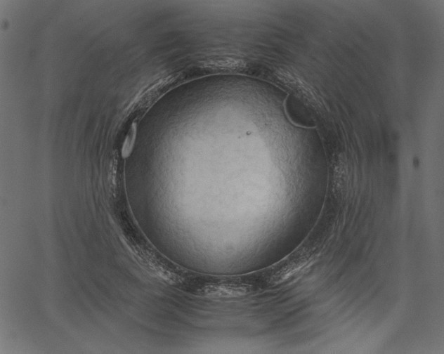 X0000067830739200604271554