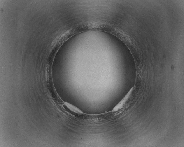 X0000067830740200604271554