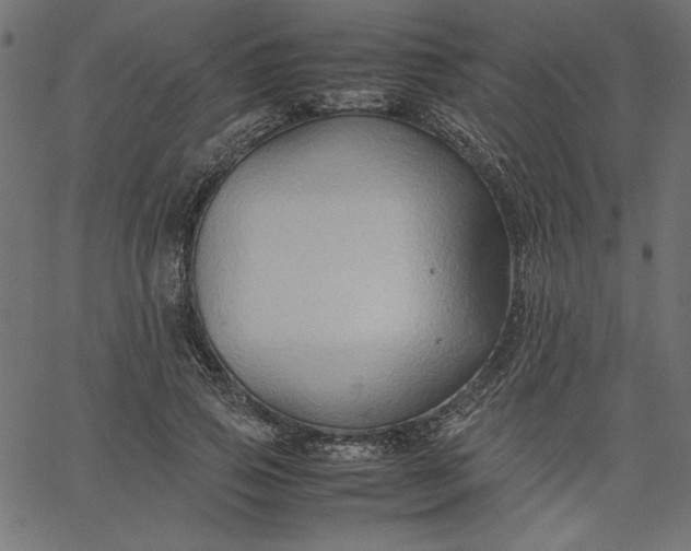 X0000067830741200604271554