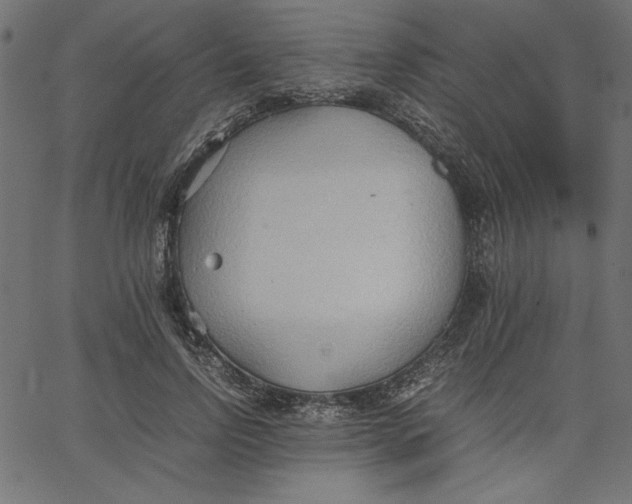 X0000067830742200604271554