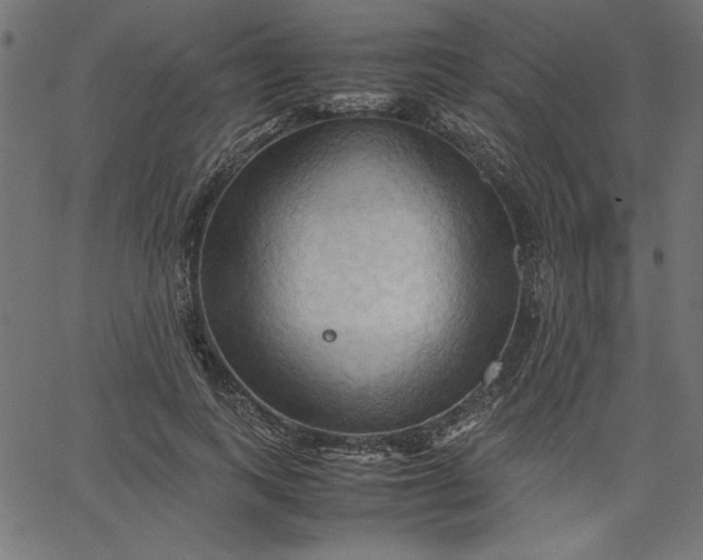 X0000067830743200604271554