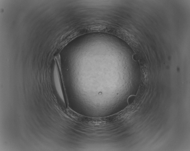 X0000067830745200604271554