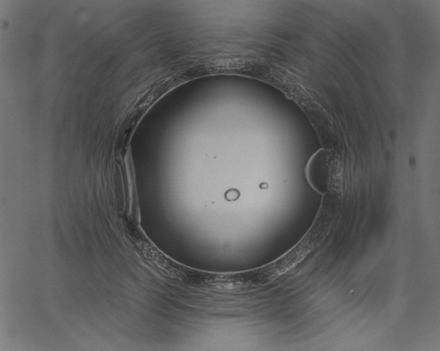 X0000067830746200604271554