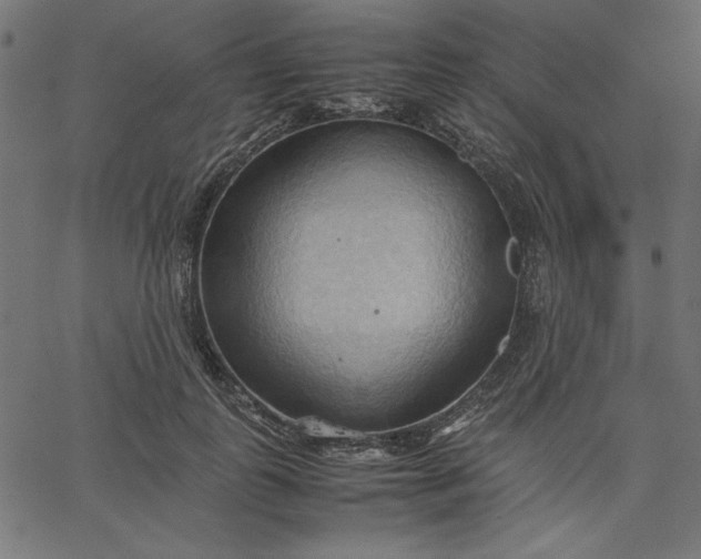 X0000067830747200604271554