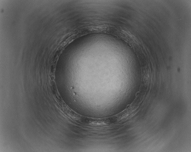 X0000067830749200604271554