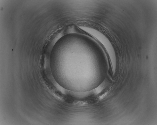 X0000067830750200604271554