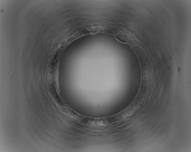 X0000067830751200604271554