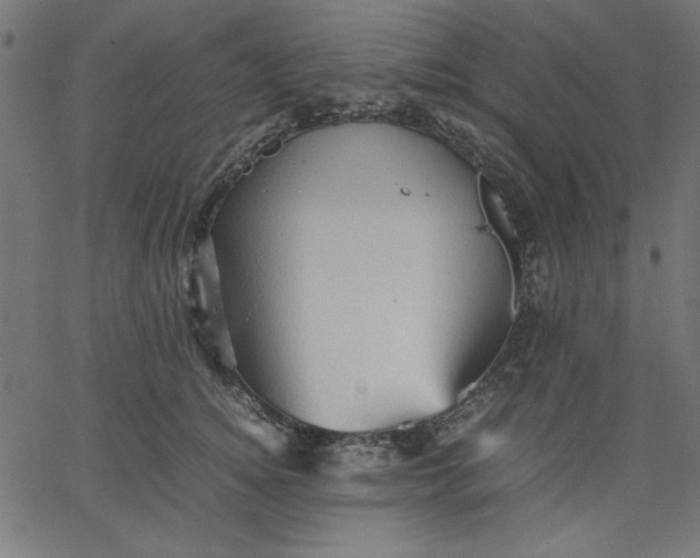 X0000067830756200604271554