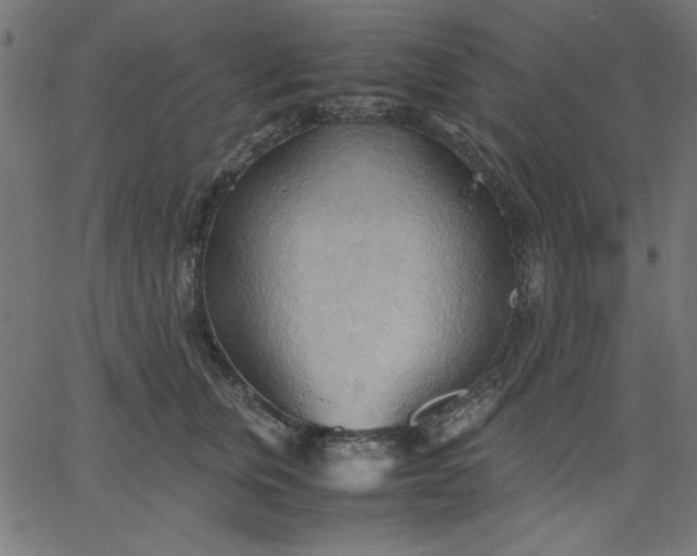 X0000067830759200604271554