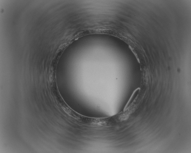 X0000067830760200604271554