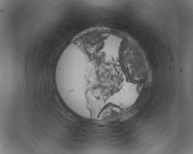 X0000067830761200604271554