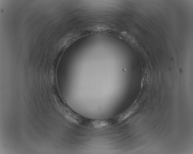 X0000067830762200604271554