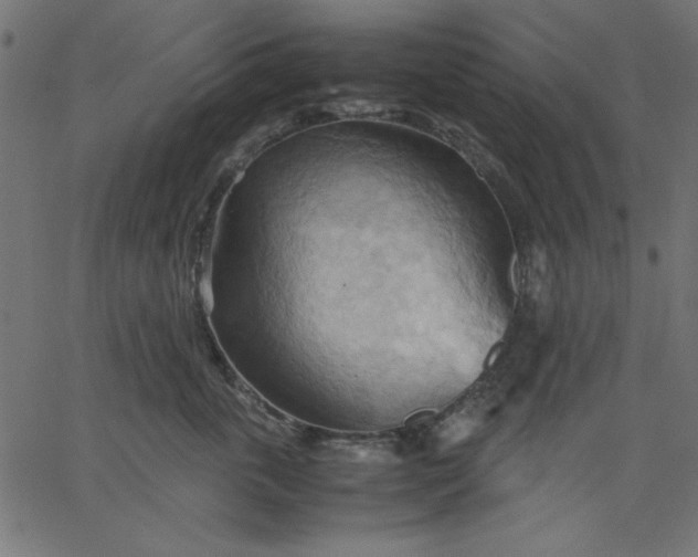 X0000067830763200604271554