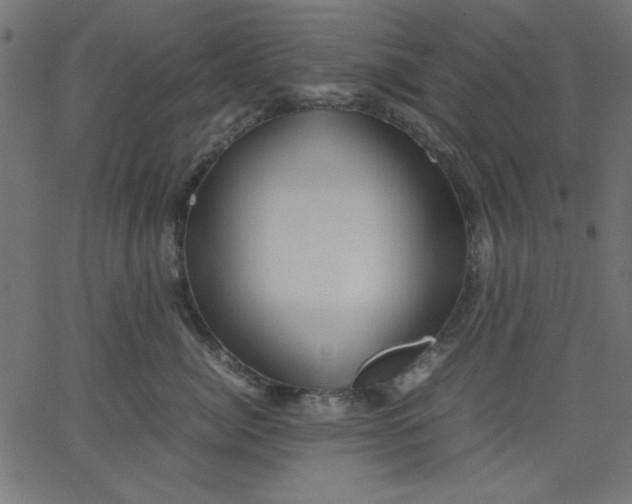 X0000067830764200604271554