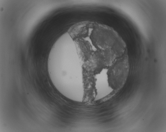 X0000067830765200604271554