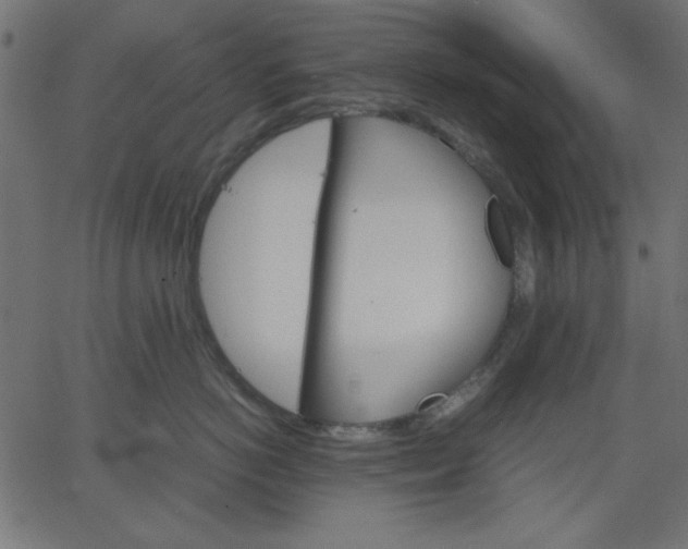 X0000067830766200604271554