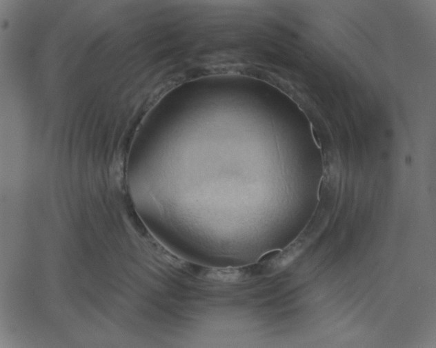 X0000067830767200604271554