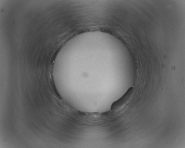 X0000067830768200604271554