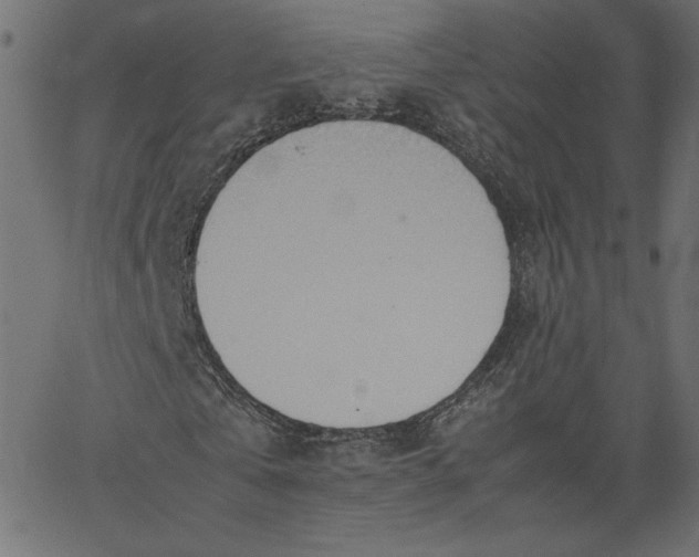 X0000067830769200604271553