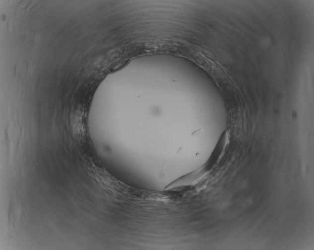 X0000067830770200604271553