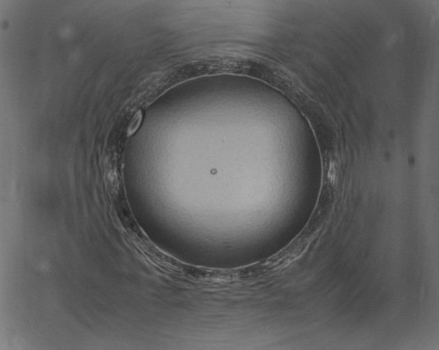 X0000067830771200604271553