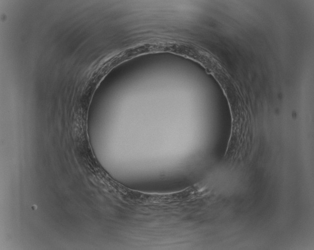 X0000067830773200604271553