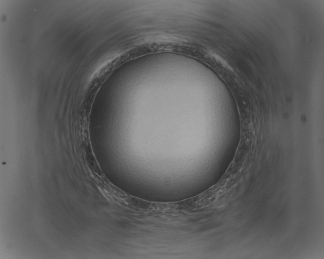 X0000067830775200604271553