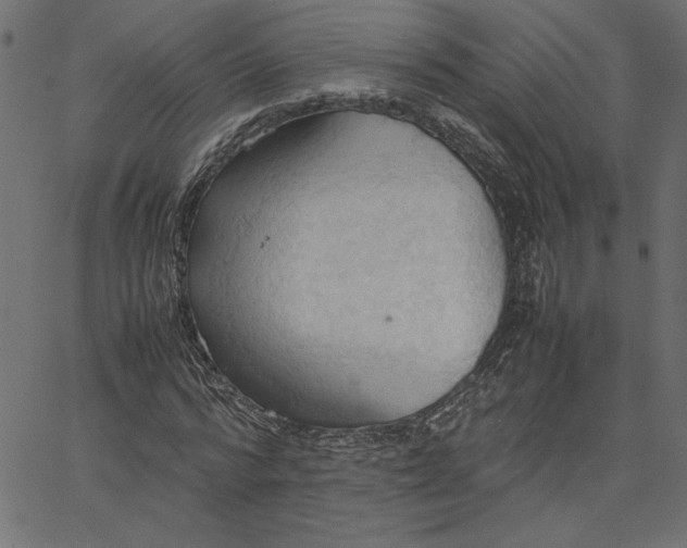 X0000067830776200604271553