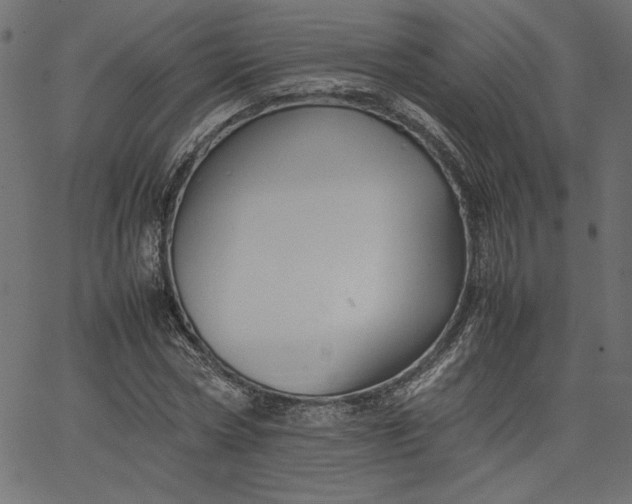 X0000067830778200604271553