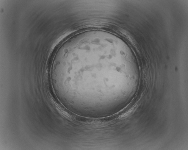 X0000067830779200604271553