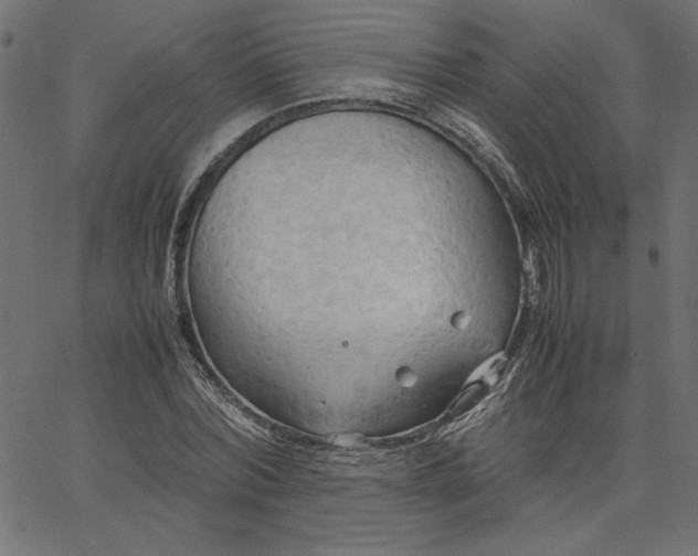 X0000067830780200604271553