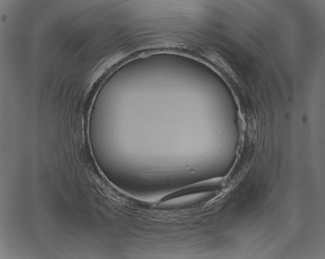 X0000067830781200604271553