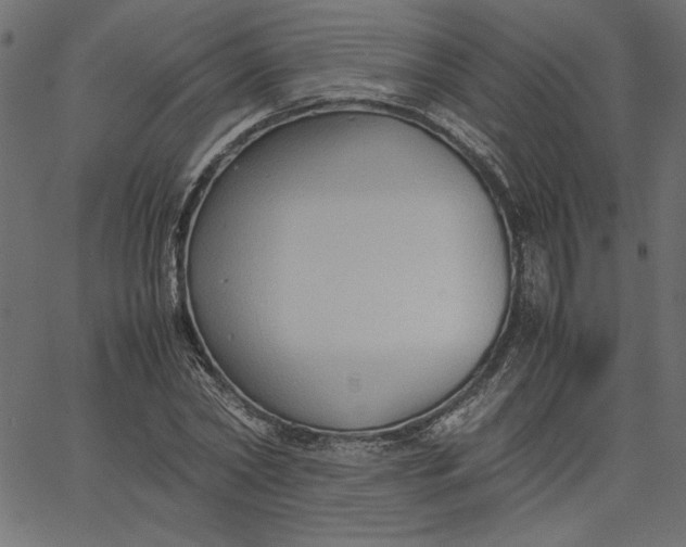 X0000067830782200604271553