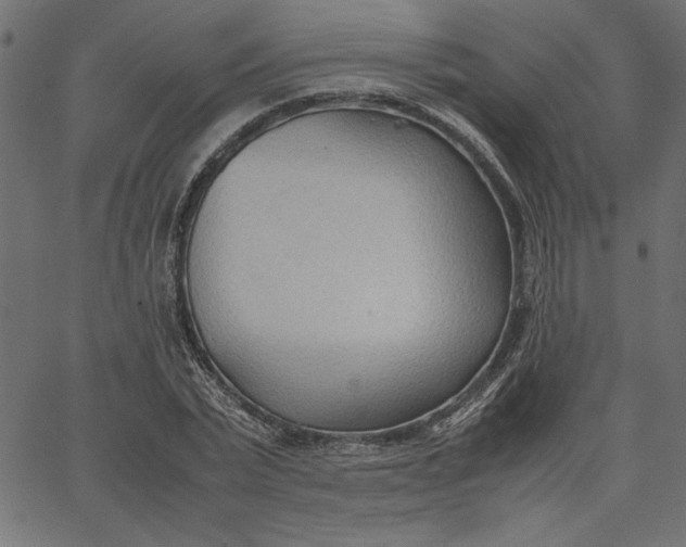 X0000067830783200604271553