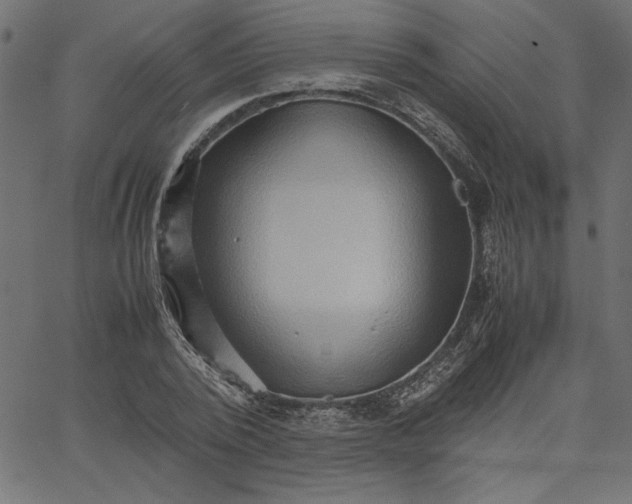 X0000067830784200604271553