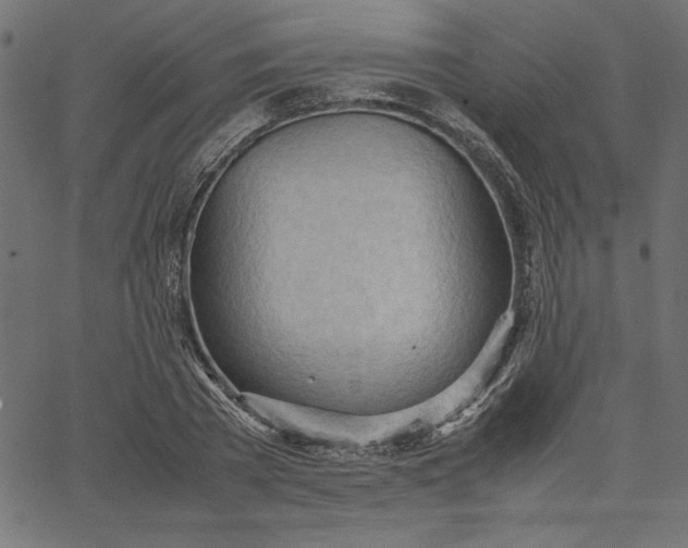 X0000067830785200604271553