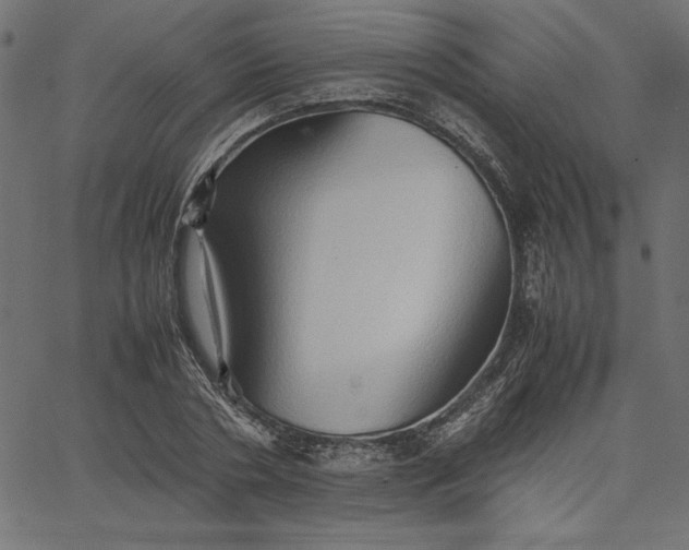 X0000067830786200604271553