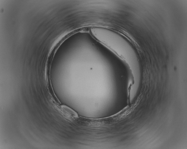 X0000067830788200604271553