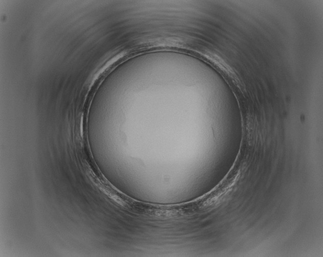 X0000067830790200604271553