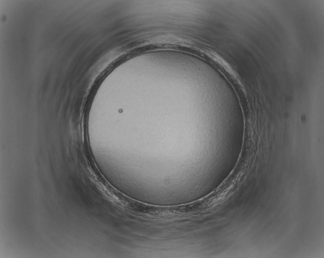 X0000067830791200604271553