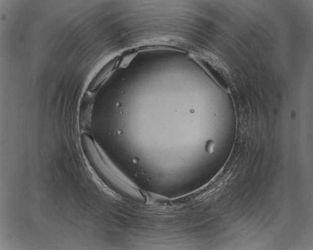 X0000067830792200604271553